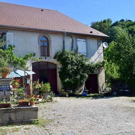 Spacious Apartment In Old Farm Close To Lac De Vouglans La Tour-du-Meix Exteriör bild