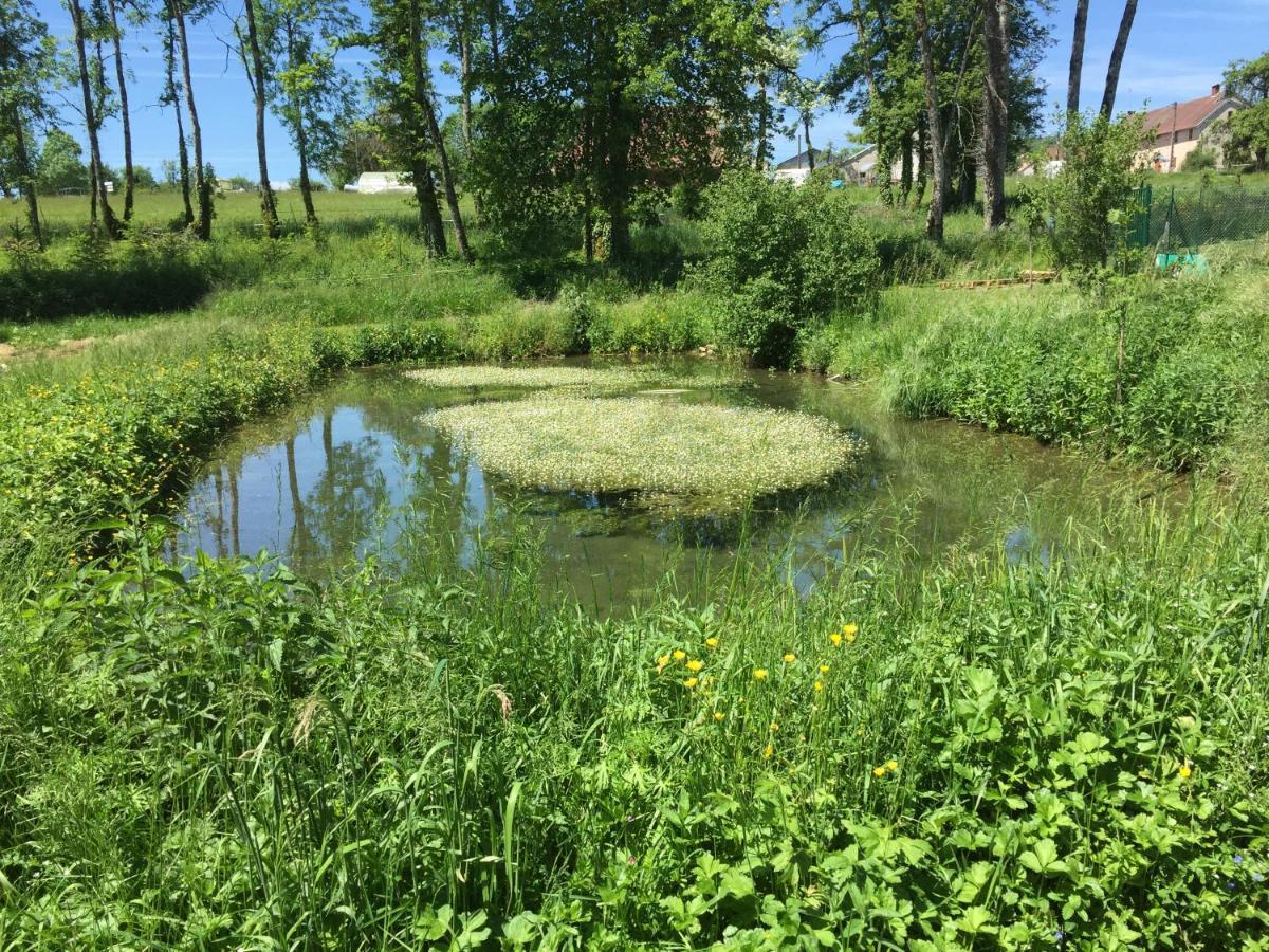 Spacious Apartment In Old Farm Close To Lac De Vouglans La Tour-du-Meix Exteriör bild